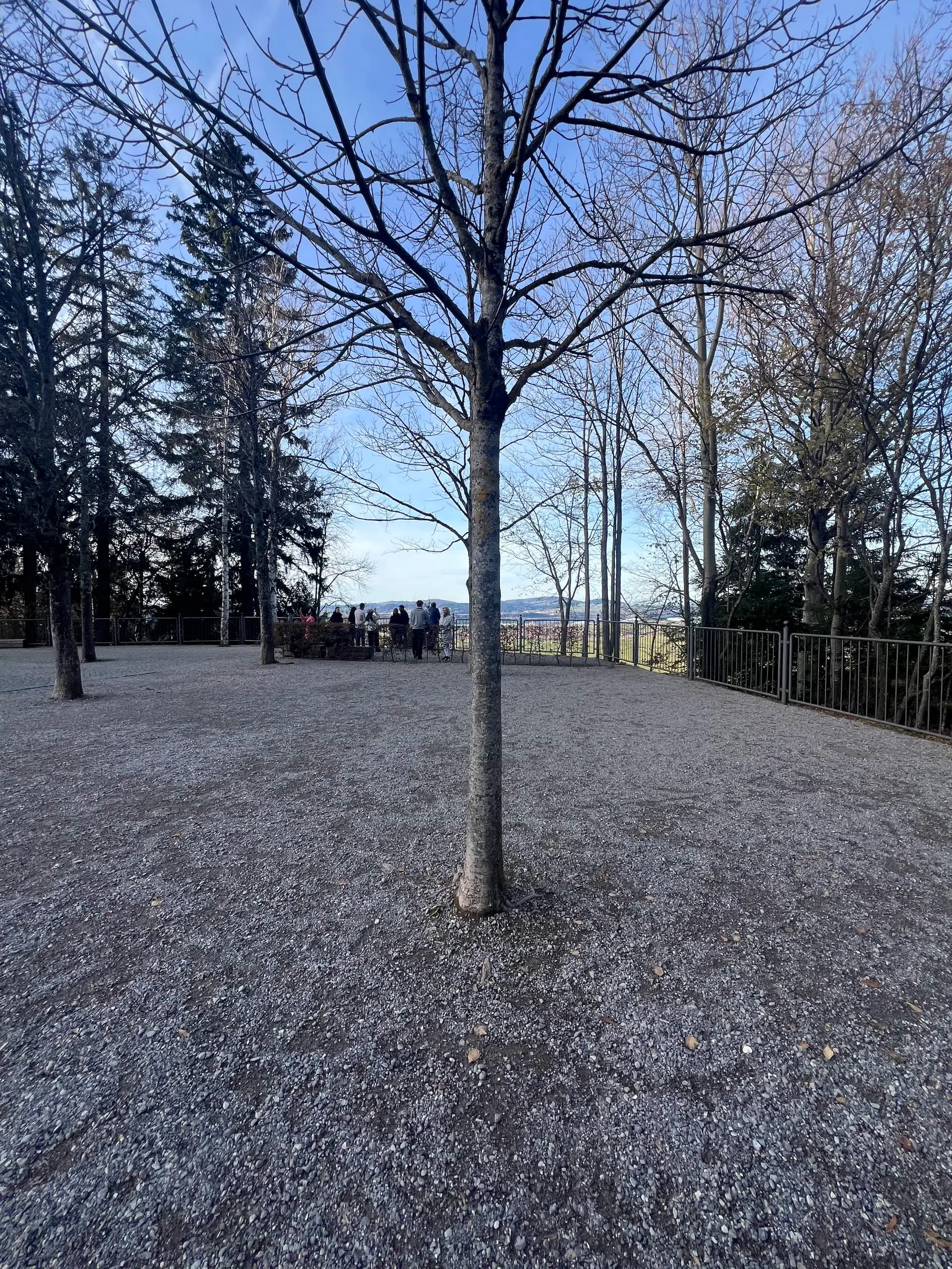View from Marienbrücke