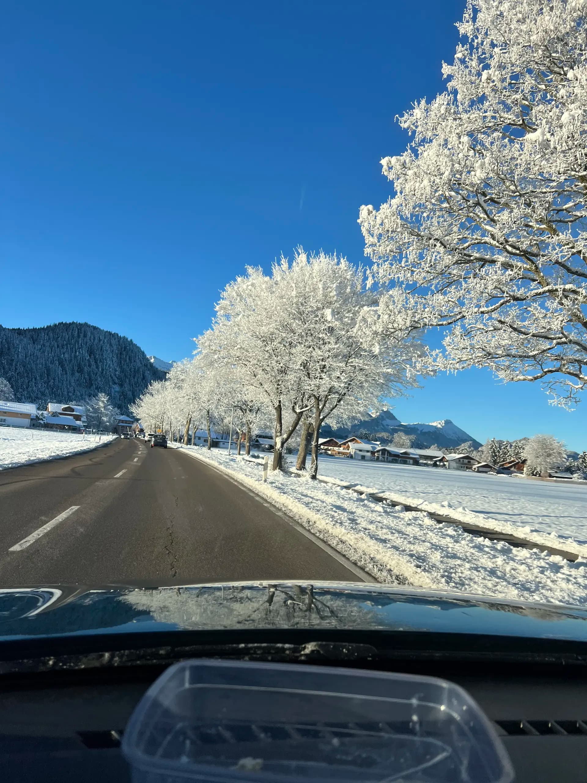 Neuschwanstein Castle in Winter - The Real Disney Castle