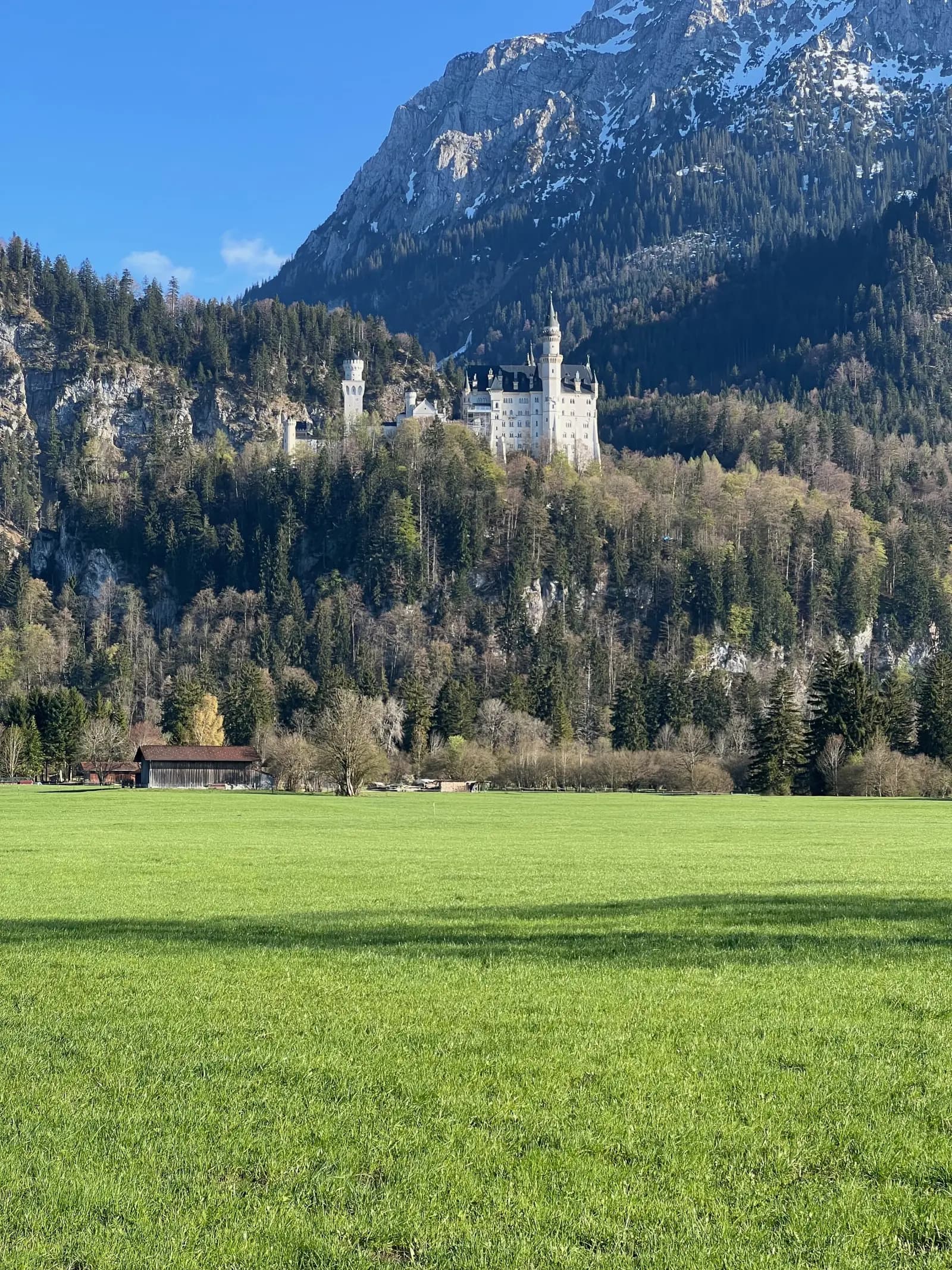 Neuschwanstein Castle above a green meadow in the Bavarian Alps