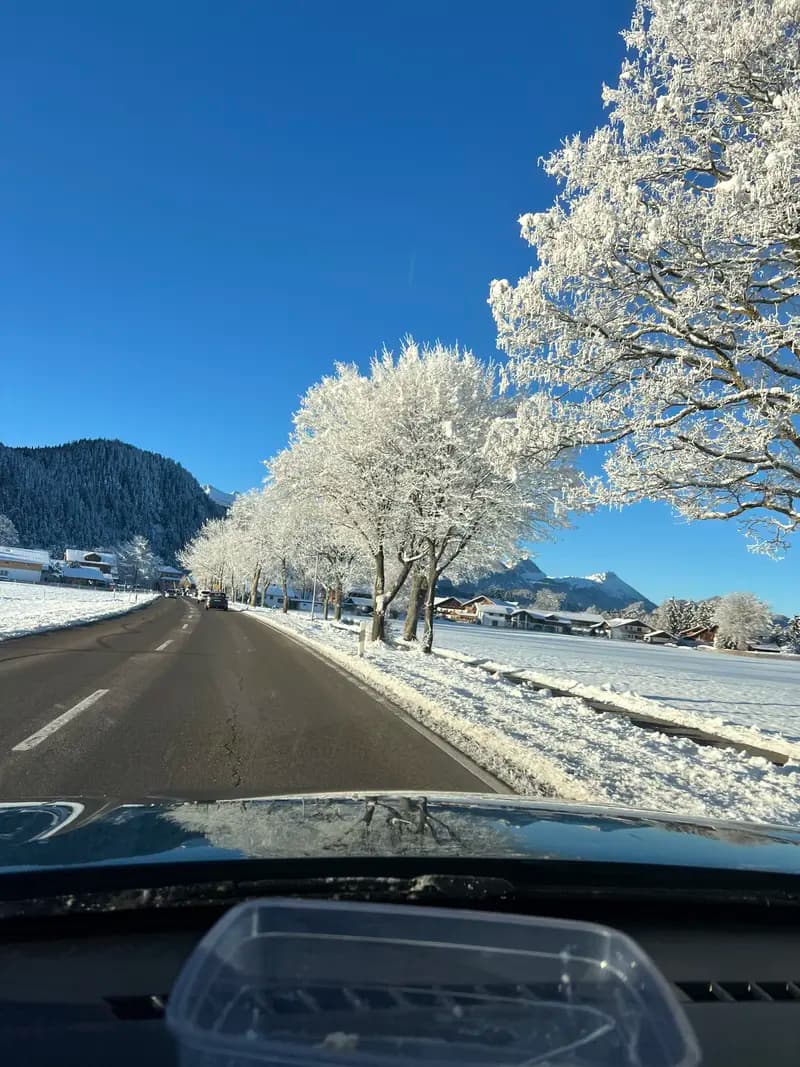 Neuschwanstein in Winter